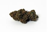 Fleurs CBD TROPICAL HAZE 3,8% (2g) thumbnail