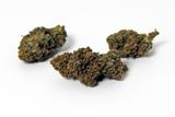 Fleurs CBD TROPICAL HAZE 3,8% (2g) thumbnail
