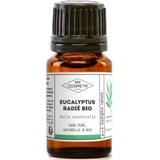Huile Essentielle d'Eucalyptus radié BIO - 10 ml thumbnail