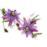 Passiflore BIO 40 gélules  thumbnail