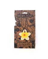 Chewy La fleur d'Hawaï - Oli & Carol thumbnail