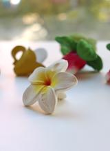 Chewy La fleur d'Hawaï - Oli & Carol thumbnail