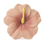 Anneau de dentition Iris l'hibiscus thumbnail