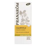 Huile végétale de Calophylle 50ml thumbnail