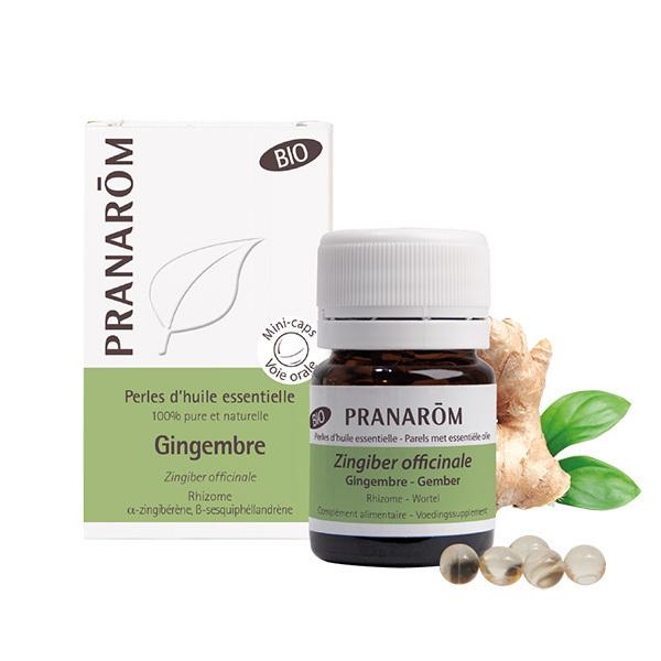 Gingembre - Rhizome Bio 60 perles