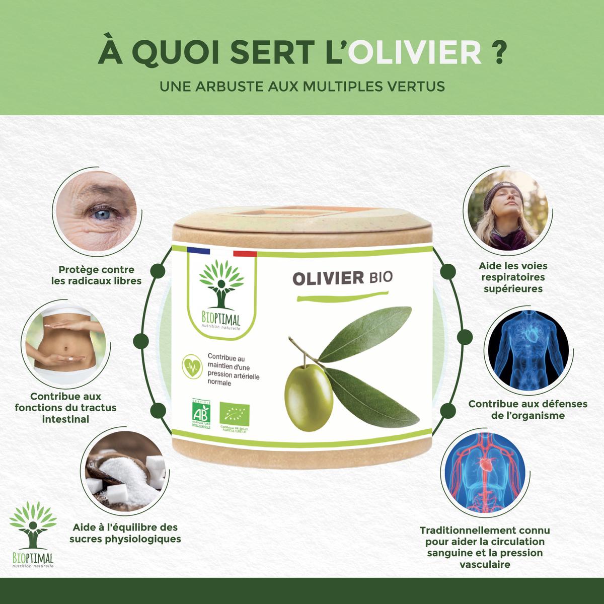 Olivier Bio - Complément alimentaire - 2X60gl thumbnail