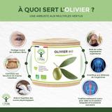Olivier Bio - Complément alimentaire - 2X60gl thumbnail