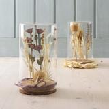 Tige de Papaver et herbe en bois 20 cm thumbnail