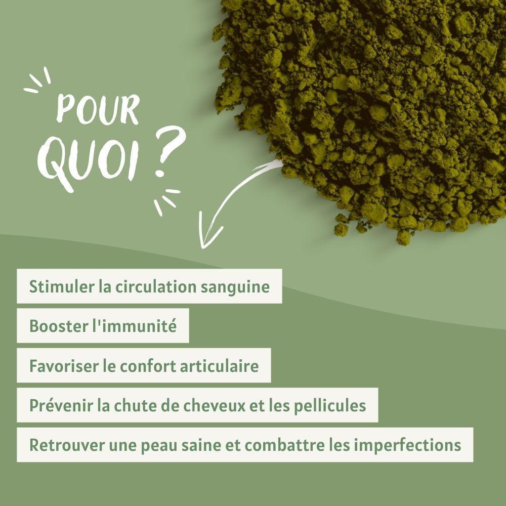 Ortie piquante feuille bio 500g - Wonder-Plantes thumbnail