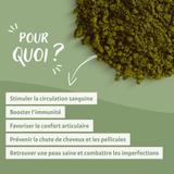 Ortie piquante feuille bio 500g - Wonder-Plantes thumbnail