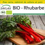 Ensemble de culture - BIO - Rhubarbe - 50 graines thumbnail