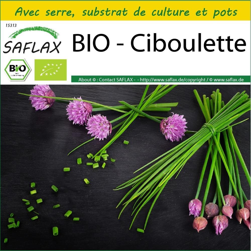 Ensemble de culture - BIO - Ciboulette - 250 graines thumbnail