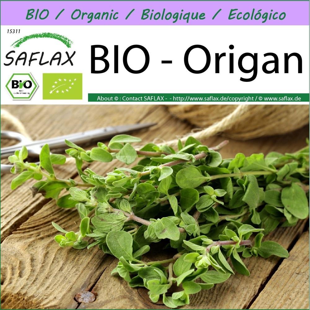 BIO - Origan - 1500 graines - Origanum thumbnail