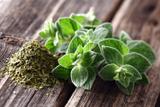 BIO - Origan - 1500 graines - Origanum thumbnail