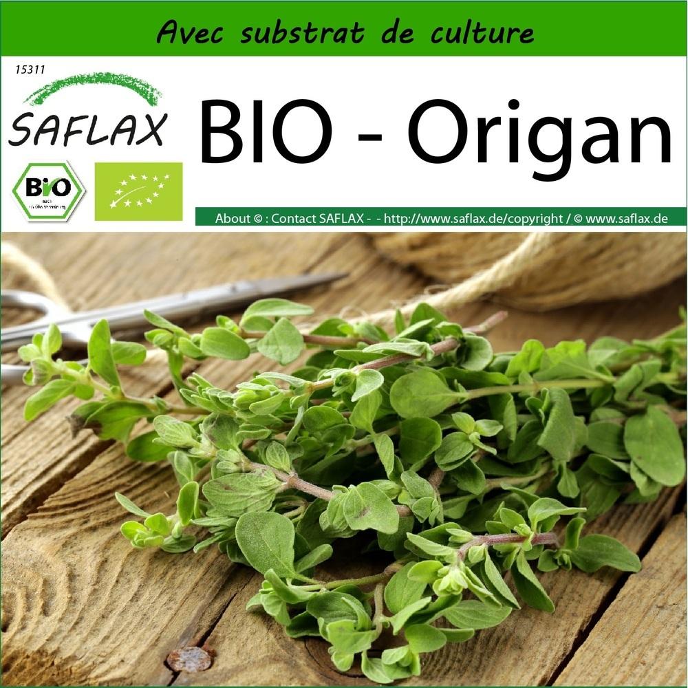 BIO - Origan - 1500 graines - Avec substrat thumbnail
