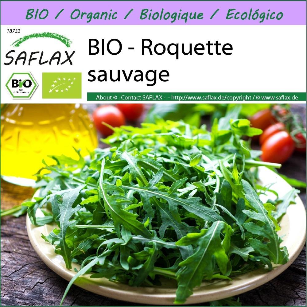 BIO - Roquette sauvage - 1500 graines - Diplotaxis thumbnail
