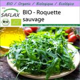 BIO - Roquette sauvage - 1500 graines - Diplotaxis thumbnail