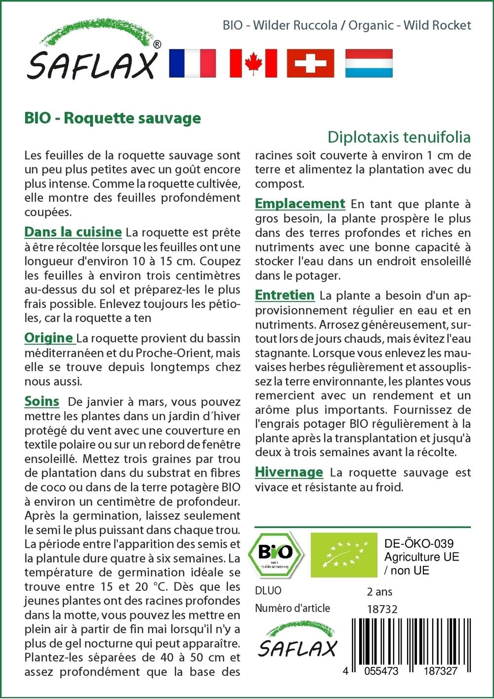 BIO - Roquette sauvage - 1500 graines - Diplotaxis thumbnail