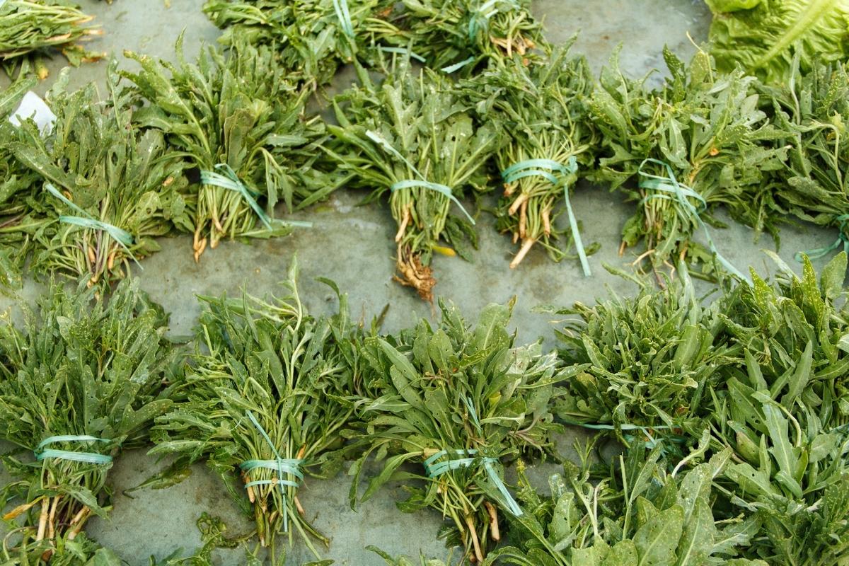BIO - Roquette sauvage - 1500 graines - Diplotaxis thumbnail