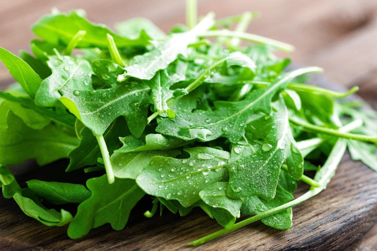 BIO - Roquette - 3000 graines - Eruca thumbnail
