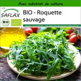 BIO - Roquette sauvage - 1500 graines - Avec substrat thumbnail