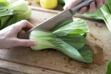 BIO - Bok choy - 300 graines - Brassica thumbnail