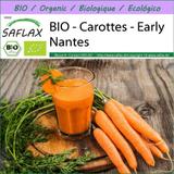 BIO - Carottes - Early Nantes - 1500 graines - Daucus thumbnail