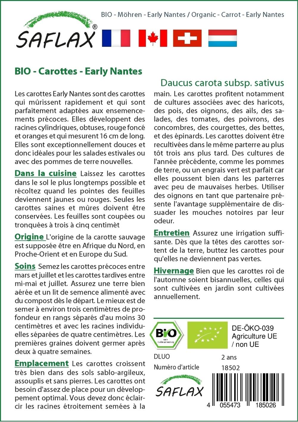 BIO - Carottes - Early Nantes - 1500 graines - Daucus thumbnail