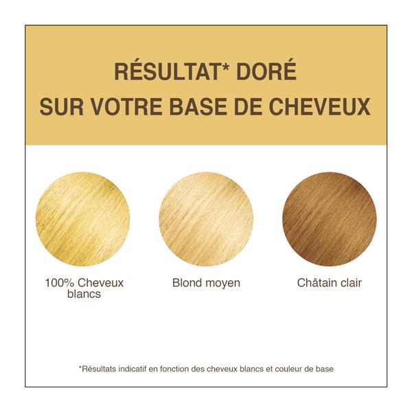 Coloration Végétale Progressive Doré 100 g thumbnail
