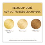 Coloration Végétale Progressive Doré 100 g thumbnail