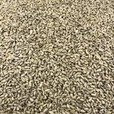 Graines de Tournesol Bio en Vrac 25kg thumbnail