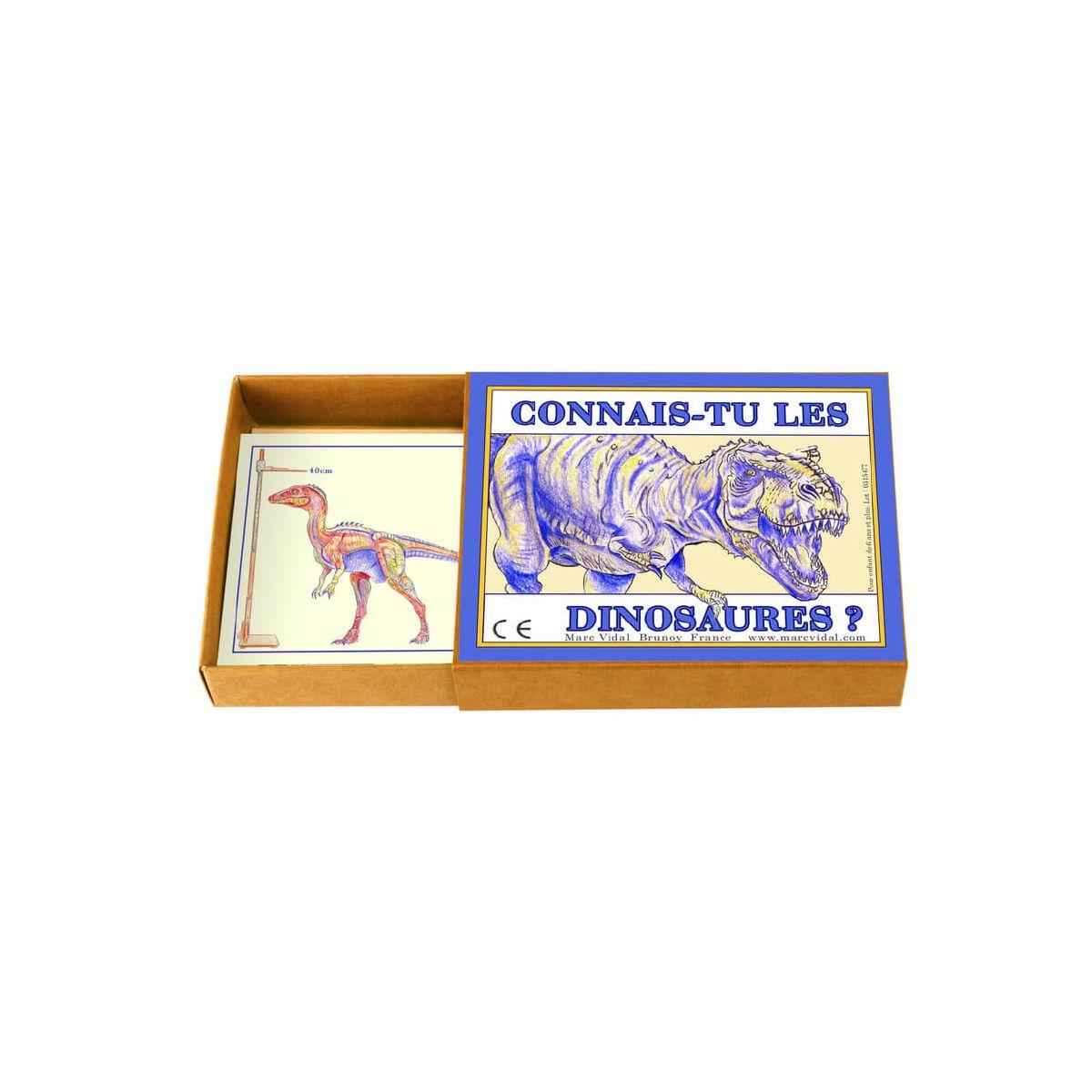 Connais-tu les dinosaures ? thumbnail