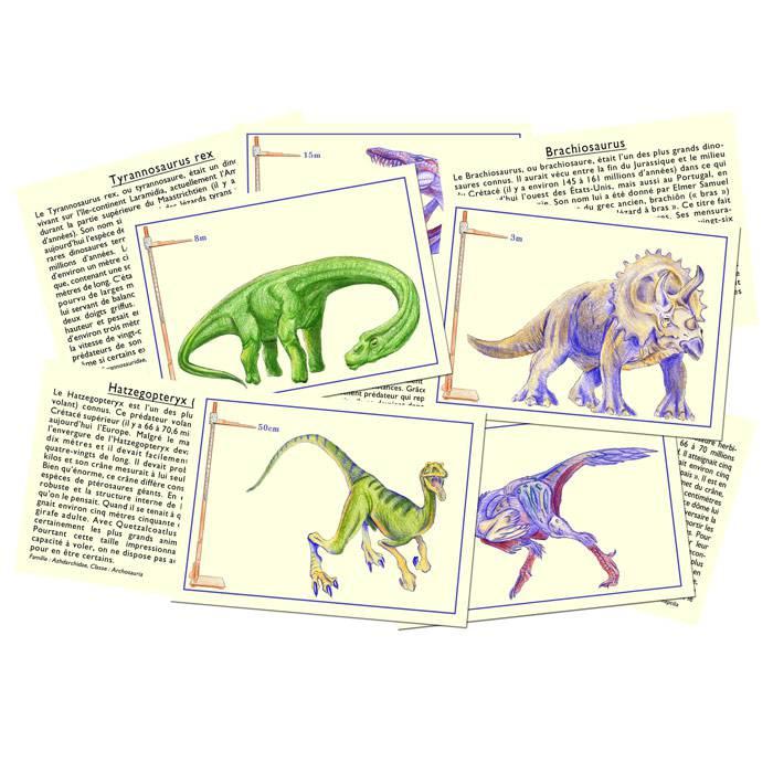 Connais-tu les dinosaures ? thumbnail