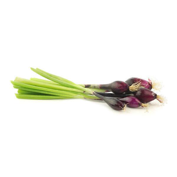 Ciboule rouge. Ile de France 300g