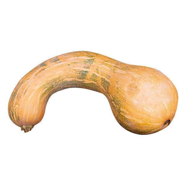 Courge longue de Nice. Ile de France. 1,3kg