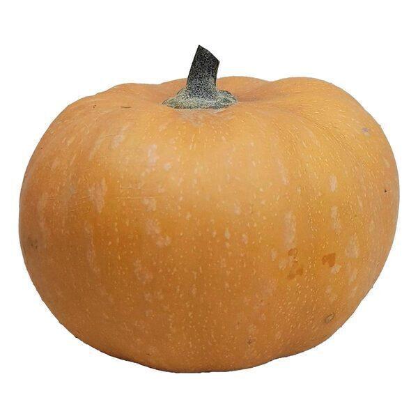 Courge Carat. Ile de France 1,5kg