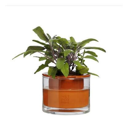 Pot en terre cuite avec réservoir d'eau XS