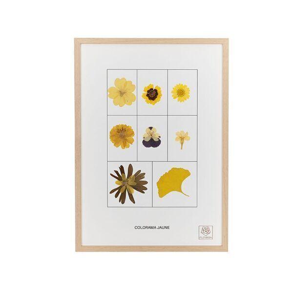 Décoration murale Colorama - Le jaune 21 x 30 cm