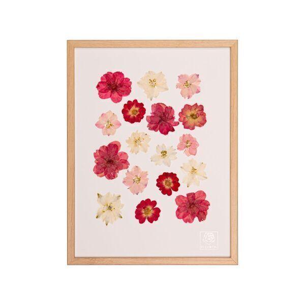 Décoration murale Blush Mini 18 x 24 cm