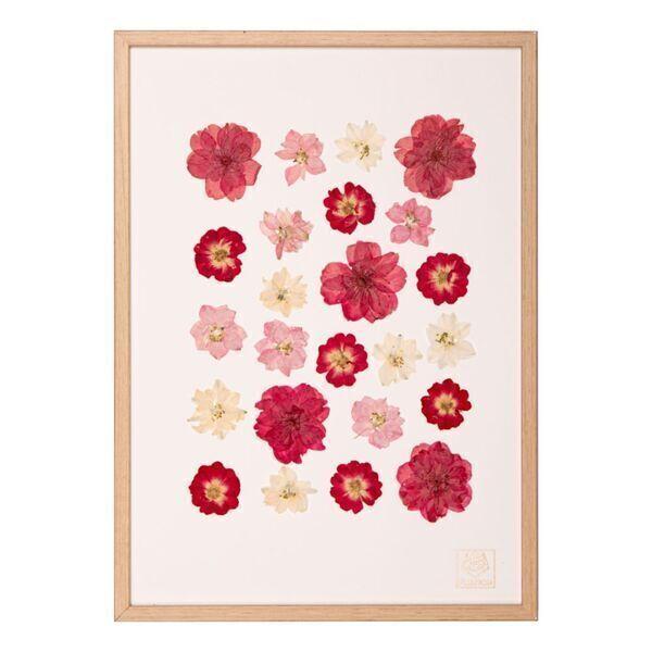 Décoration murale Blush  21 x 30 cm