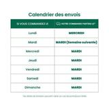 25 coccinelles anti cochenilles thumbnail