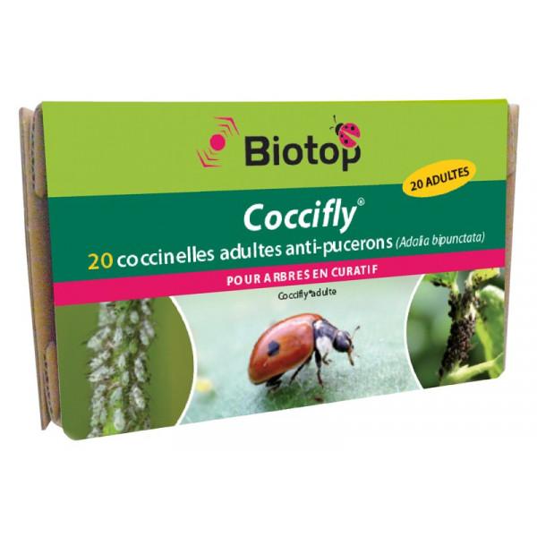 20 coccinelles adultes anti-pucerons - Coccifly thumbnail