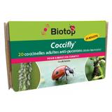 20 coccinelles adultes anti-pucerons - Coccifly thumbnail