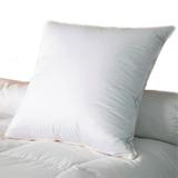 Oreiller duvet canard et coton bio 60x60 thumbnail