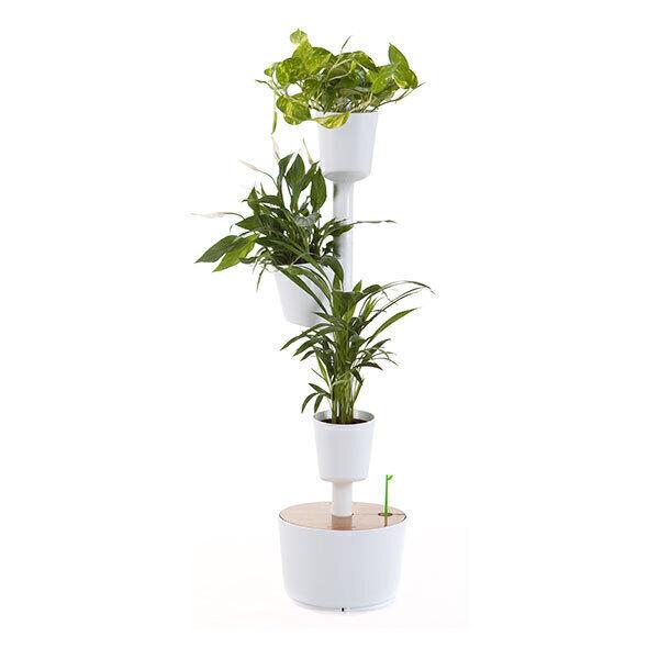 Jardin d'intérieur connecté 3 plantes Blanc thumbnail