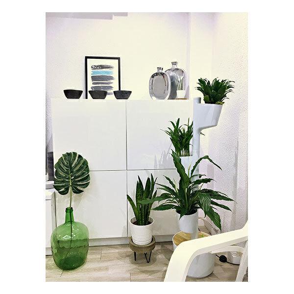 Jardin d'intérieur connecté 3 plantes Blanc thumbnail