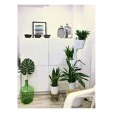 Jardin d'intérieur connecté 3 plantes Blanc thumbnail