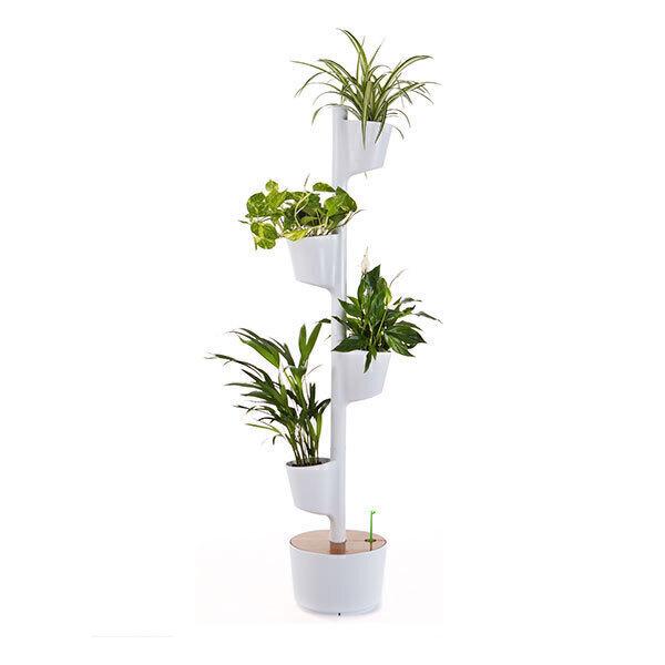 Jardin d'intérieur connecté 4 plantes Blanc thumbnail