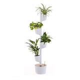 Jardin d'intérieur connecté 4 plantes Blanc thumbnail