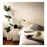 Jardin d'intérieur connecté 4 plantes Blanc thumbnail